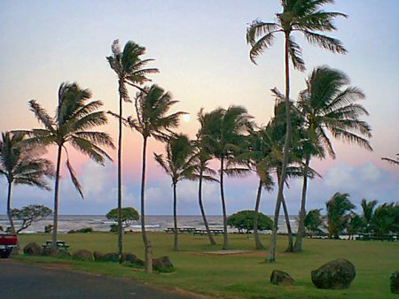 Photo by Lorraine Caron