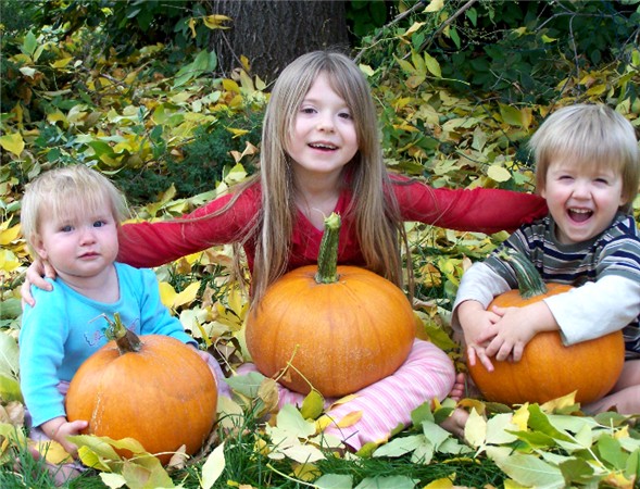 pumpkin patch kids