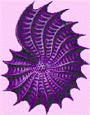 treat the whole person